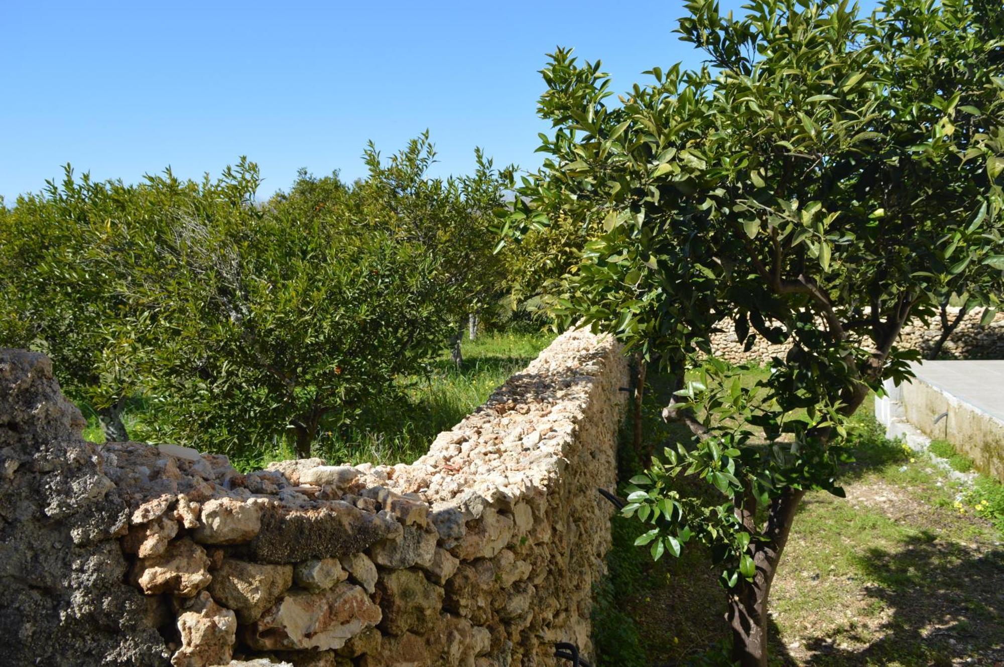 Agriturismo Tenute Masseria Notari บอร์กาญเญ ภายนอก รูปภาพ